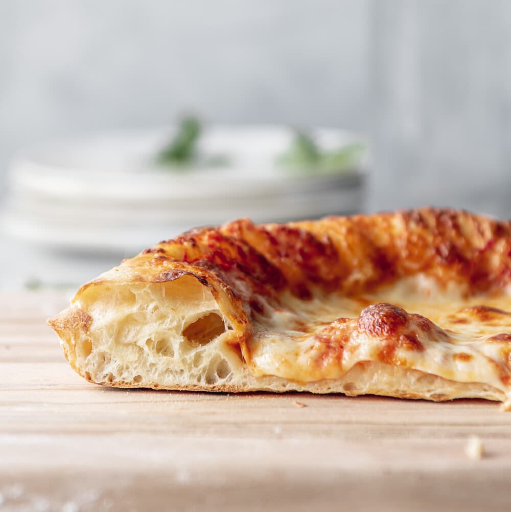 Artisan Pizza Dough With Crispy Bottom and Blistered Bubbles