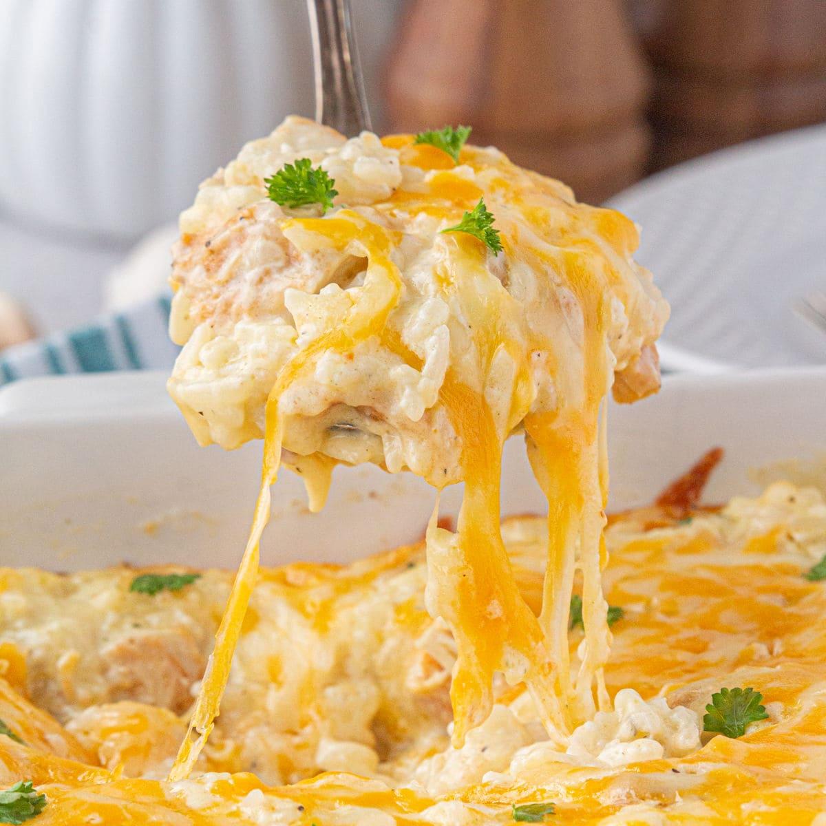 Creamy Angel Chicken and Rice Casserole: A Family Favorite Comfort Dish