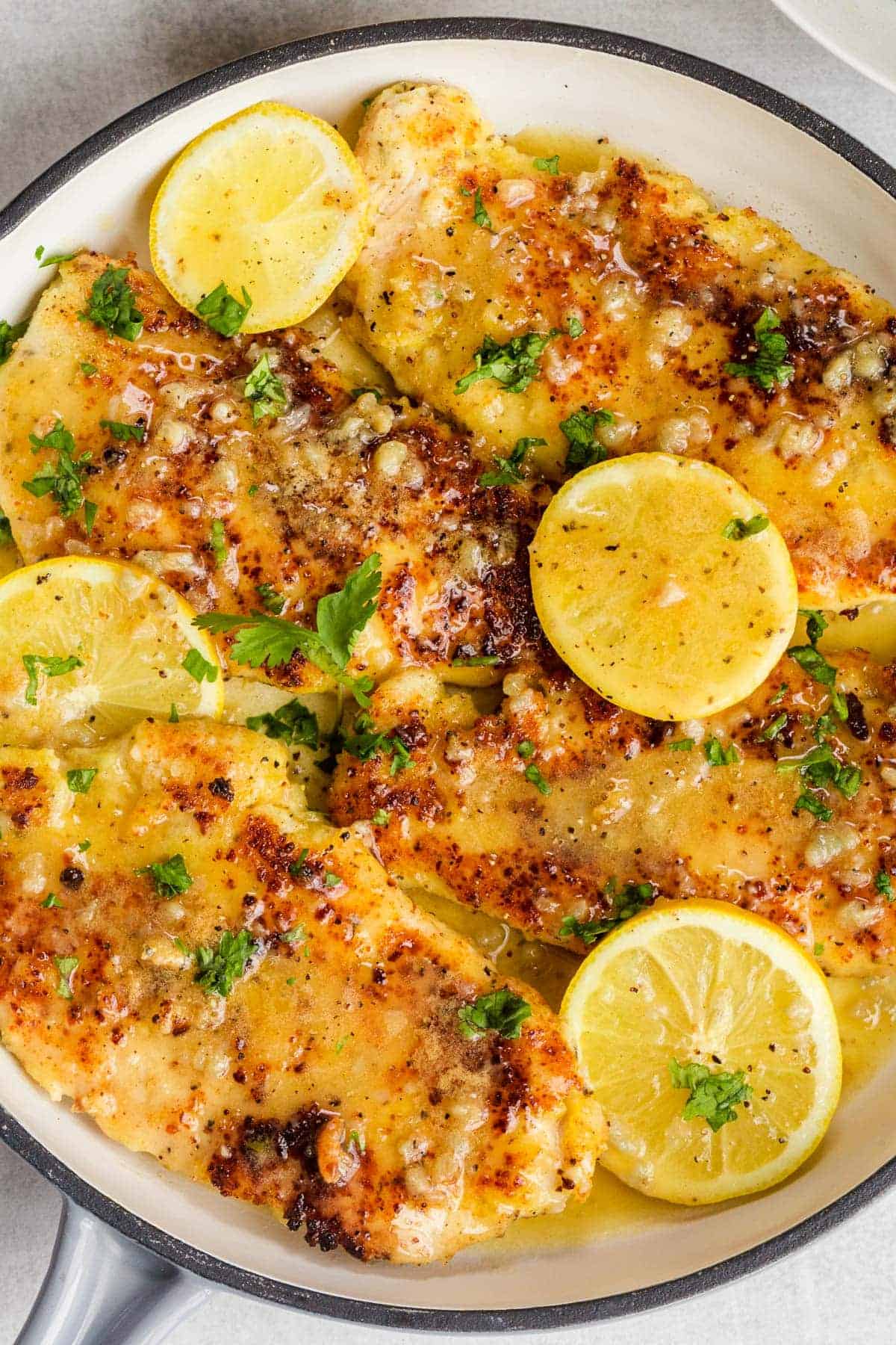 Parmesan-Crusted Lemon Chicken with Garlic Lemon Butter Sauce